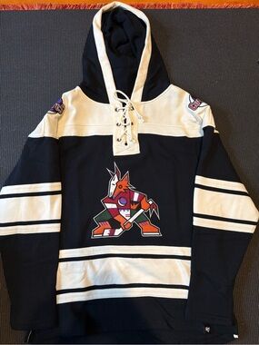 47 Brand Arizona Phoenix Coyotes Jersey Sweater